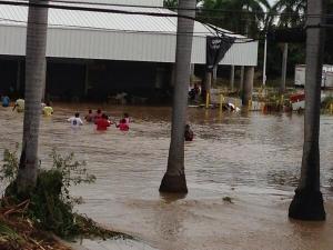 Ante falta de alimentos, personas entre agua, se acercan a Centro Comercial//Foto Víctor Hugo Míchel.